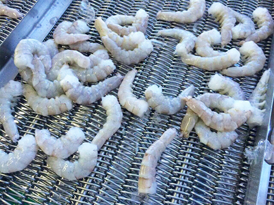 高溫食品烘干網(wǎng)帶